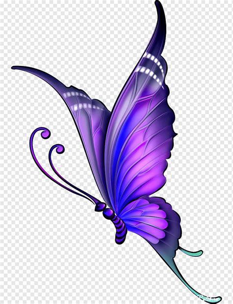 Butterfly Drawing Color Flying Purple Violet Decoupage Png Pngwing