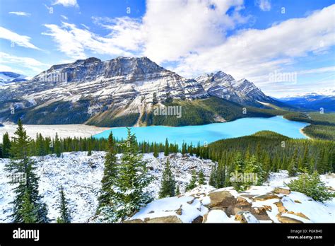 View From Bow Summit Of Peyto Lake In Banff National Park Alberta