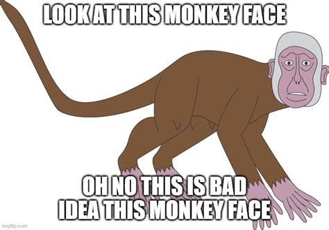 The Weird Monkey Face Imgflip
