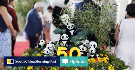 Opinion Panda Diplomacy Is Great But China Us Climate Cooperation Is