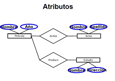 Componentes Del DiseÑo Conceptual De Una Base De Datos Mind42