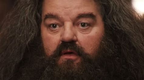 The Hagrid Tv Series That Fans Agree Would Redeem Fantastic Beasts
