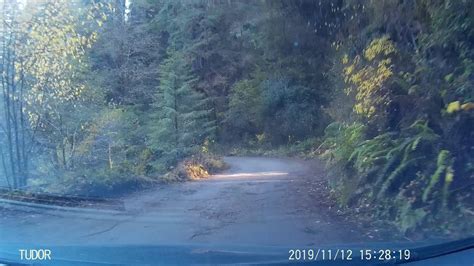 Dashcam Afternoon In Jedediah Smith Redwoods State Park Youtube