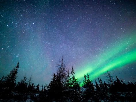 Northern Lights And Winter Nights Enthusiast By Canada