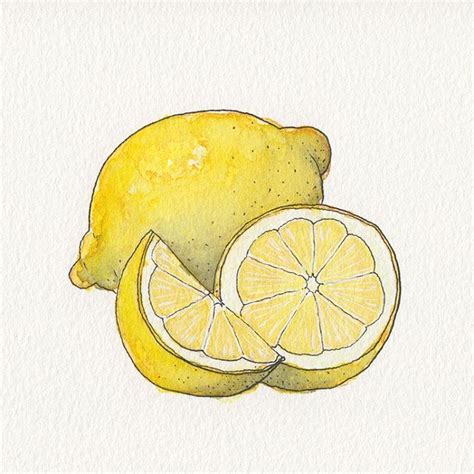 Pin By Lindsey Taylor Henriques On Lemon Lemon Art Art Painting