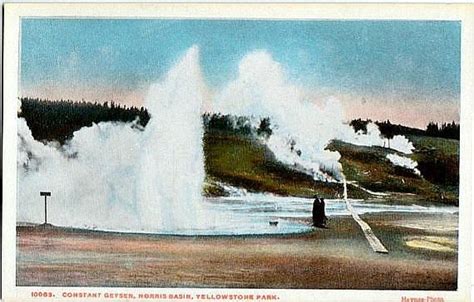 Yellowstone National Park Antique Postcard Constant Geyser Etsy