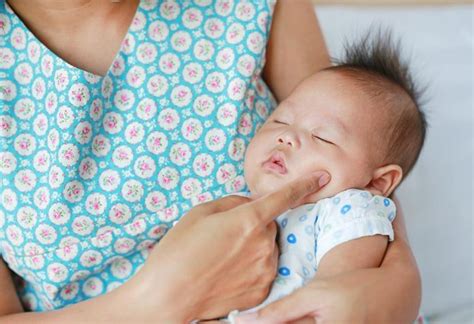 Understanding Rooting Reflex In Babies