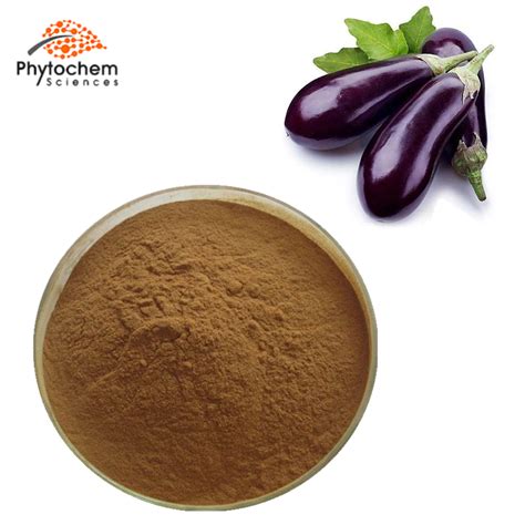 Eggplant Extract Supplement Health Benefits For Anti Cancer