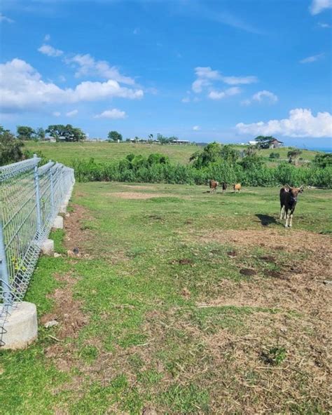 Di Jual Tanah View Laut Di Pantai Nyanyi Tabanan Bali IDRumah