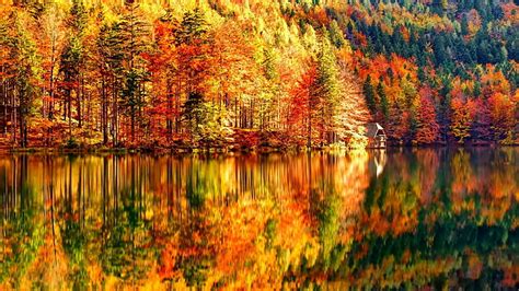 Lake Slope Mirror Reflected House Splendid Tree Deciduous