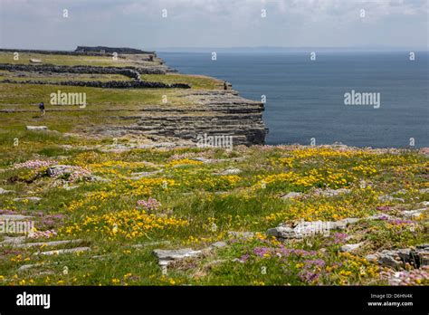 Inishmore Island Aran Islands Ireland Limestone Sea Cliffs Atlantic