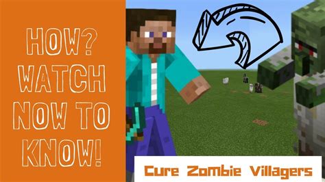 Minecraft zombie villagers are a type of zombie in the game that can be cured into a normal villager and given a profession. Cure Zombie Villagers Back To Normal Villagers : Minecraft - YouTube