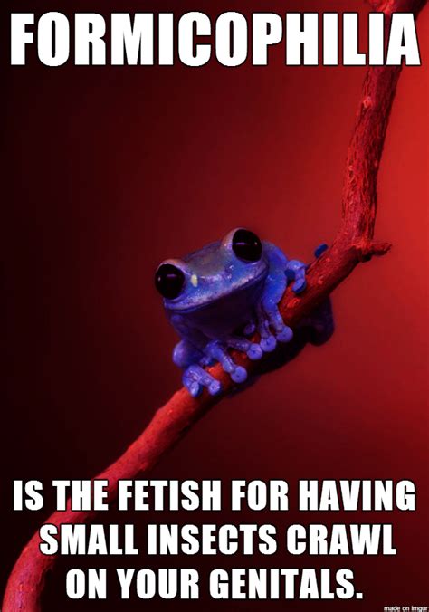 Image 679249 Small Fact Frog Know Your Meme