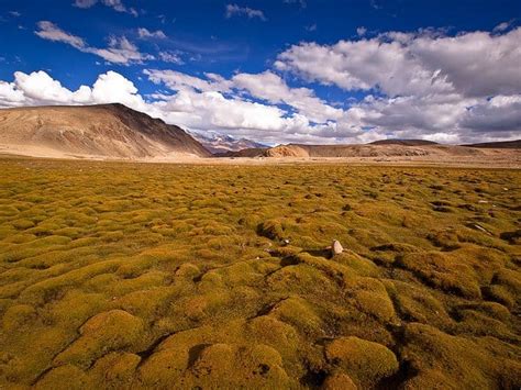 15 Of The Most Unusual Natural Landscapes In The World Boutique