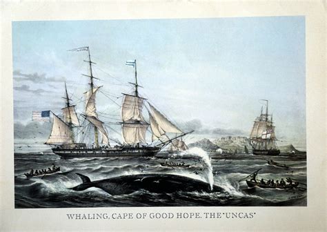Whaling Cape Of Good Hope — Palm Gallery And Custom Framing