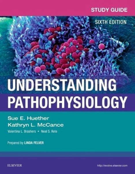 Study Guide For Understanding Pathophysiology Von Sue E Huether