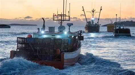 Lobster Fishing Season Delayed In Southwestern Nova Scotia