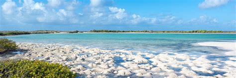 Salt Cay Kayak Tours And Rentals Visit Turks And Caicos Islands