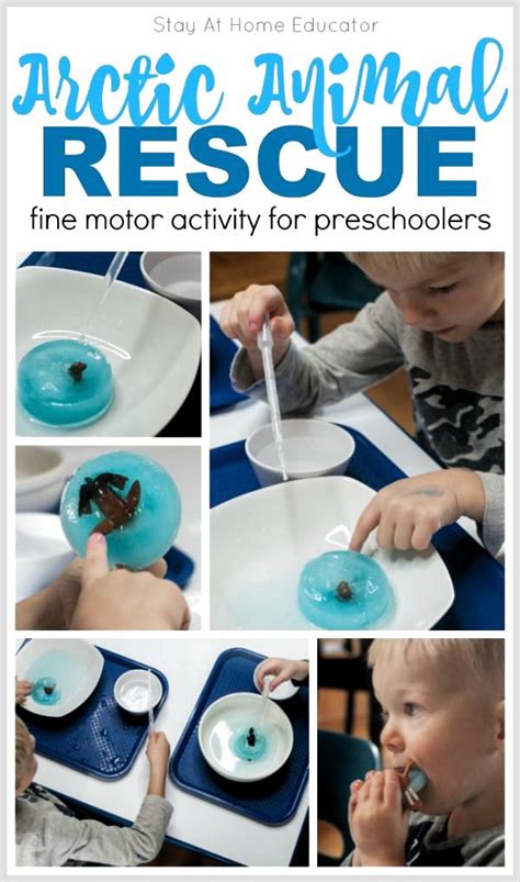 looking for some science activities for preschoolers this one fits