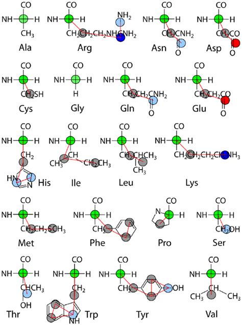 Mapping Of Cg Site Types For The Amino Acids The Backbone Is Download Scientific Diagram