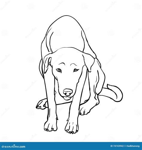 Drawing Of Sad Stray Dog Stock Vector Illustration Of Adorable 74743942