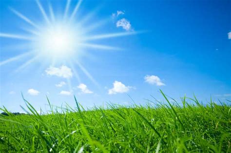 outro sun is shining and the weather is sweet sun is shining. HD Sunshine Image, Grass Sunshine Photo, 765x508, #3114