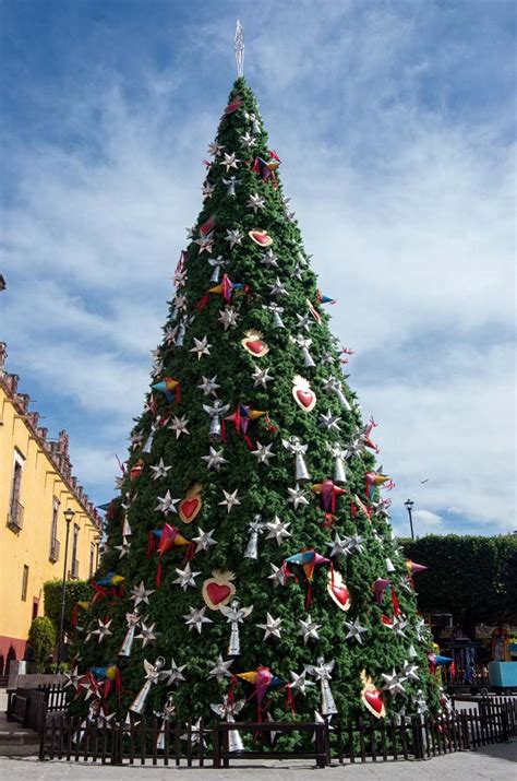 Este Es El Tierno E Histórico Origen Del árbol De Navidad