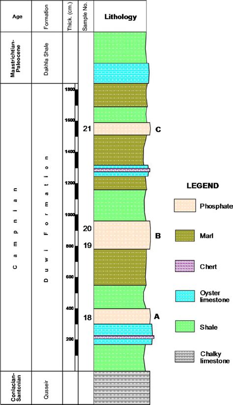 Lithostratigraphic Succession Of Duwi Formation Exposed In Safaga
