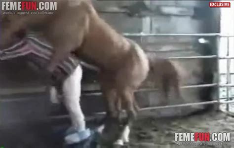 Man Gets Fucked By A Horse In Insane Zoophilia Scenes