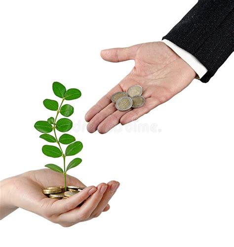 Invertir Dinero En El Medio Ambiente Foto De Archivo Imagen De