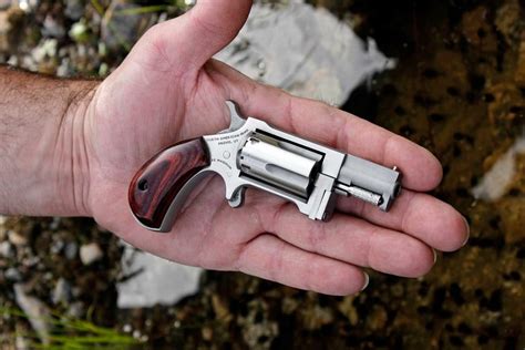 North American Arms Sidewinder 22lr22 Mag Mini Revolver On Target