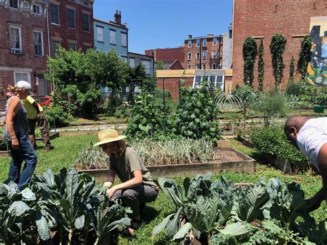 Community Gardens: 2022 In Review — Civic Garden Center of Greater