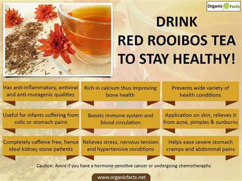 9 Health Benefits Of Drinking Rooibos Tea Every Day Teafame