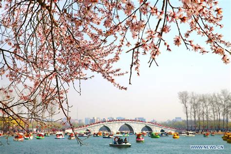 People Enjoy Scenery Of Early Spring Across China Peoples Daily Online