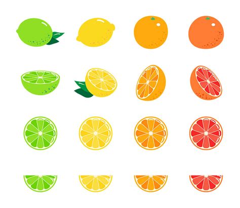 16 Citrus Fruits Fruit Clipart Citrus Clipart Lemon