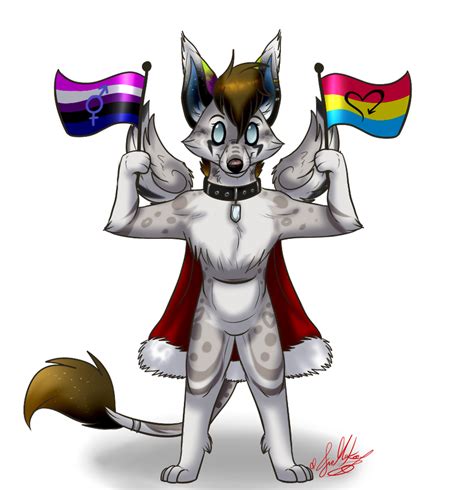 sexuality gender flag chibi raiy~ by scottishredwolf on deviantart