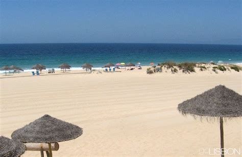 The best day trips from troia according to tripadvisor travelers are: Troia Beach near Lisbon, Portugal