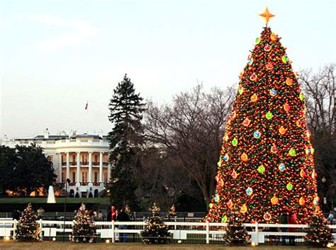 美国十大最著名的圣诞树 Harriosn的博文 美国中文网