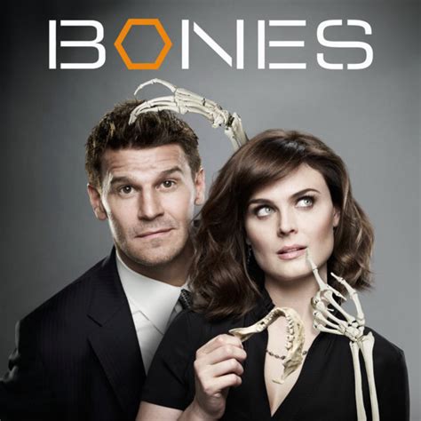 Bones Tv Series Hobbydb