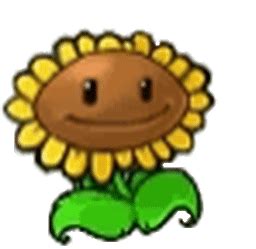 Pvz Sunflower Animation