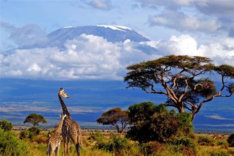10 Amazing And Popular Tourist Attractions In Africa