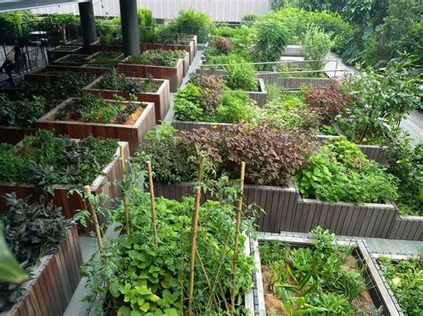Edible Garden City Things To Do In Tanglin Singapore