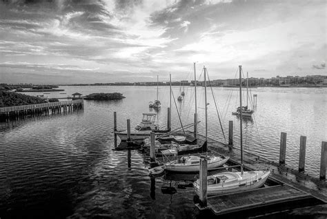 Docks Along The Waterway In Black And White Photograph By Debra And
