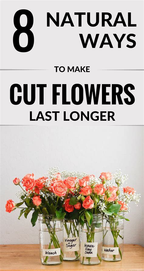 8 Natural Ways To Make Cut Flowers Last Longer