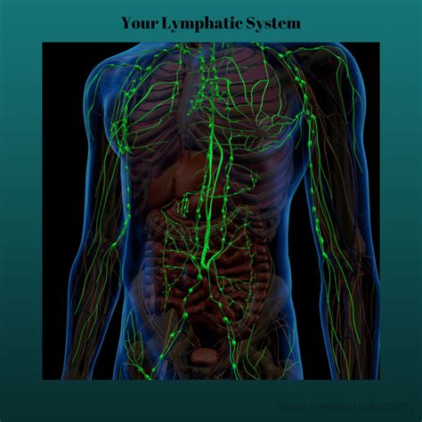 3 Ways To Stimulate Your Lymphatic System Unruffable Health