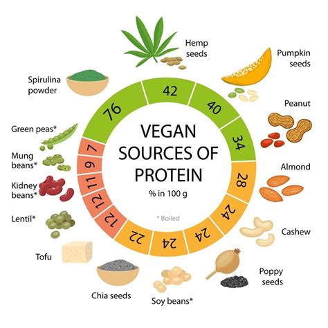 14 Highest Vegan And Vegetarian Protein Sources