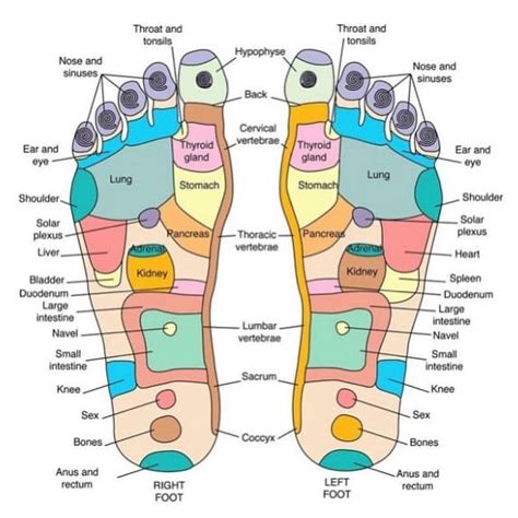 Foot Reflexology For Relaxation 5 Part Self Care Home Course