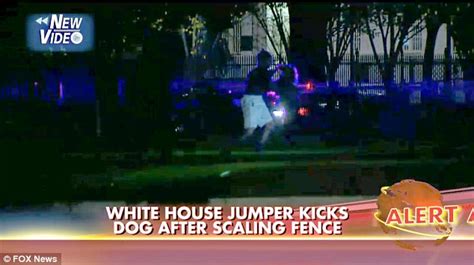 Year Old Nigerian Intruder Arrested For Scaling White House Fence