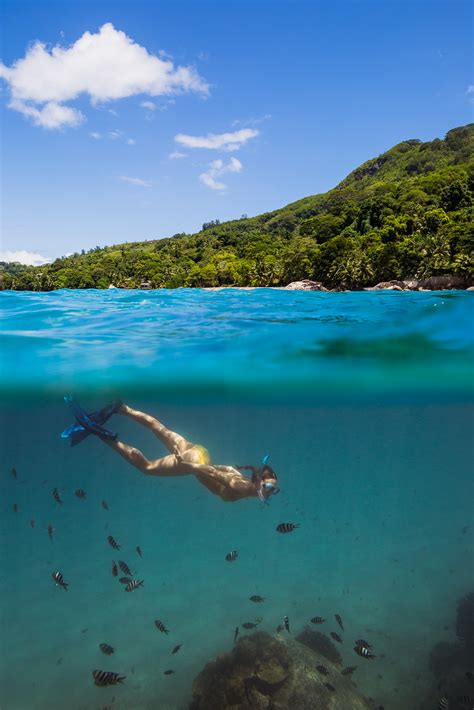 Underwater Photographer In Baie Ternay Marine Park Seychelles