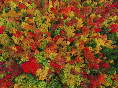 Aerial Images Capture Beautiful Autumn Landscape Caters